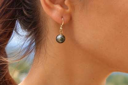 Boucles d'oreilles Vaitea crochets gold filled et perles de Tahiti rondes reflets gris-vert – Anaora Pearls