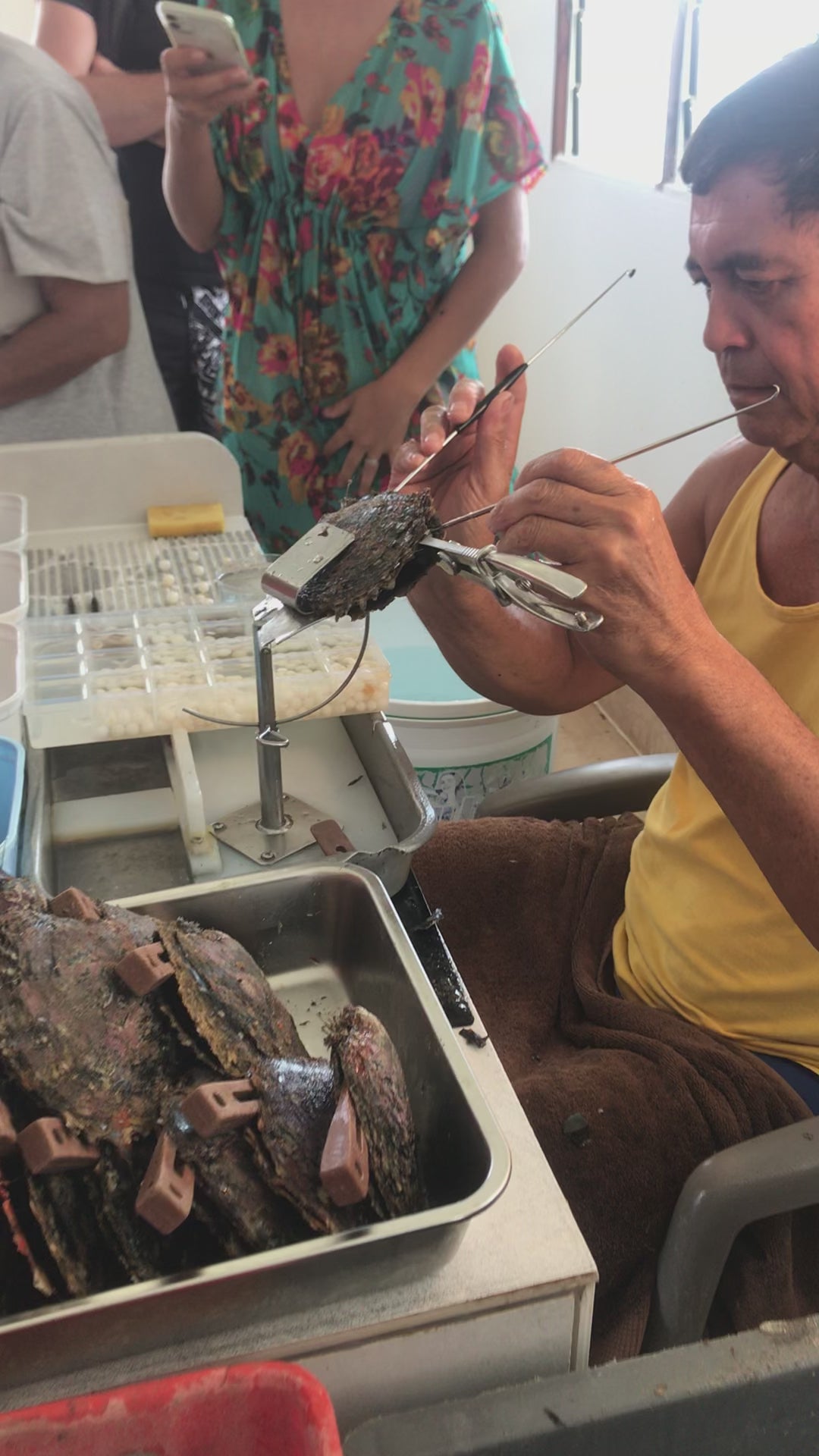 Charger la vidéo : Récolte d'une perle de Tahiti dans une ferme perlière de Polynésie